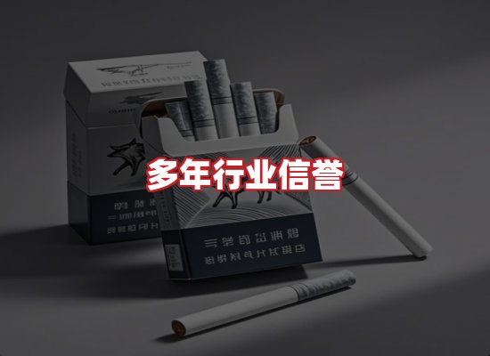 专业团队